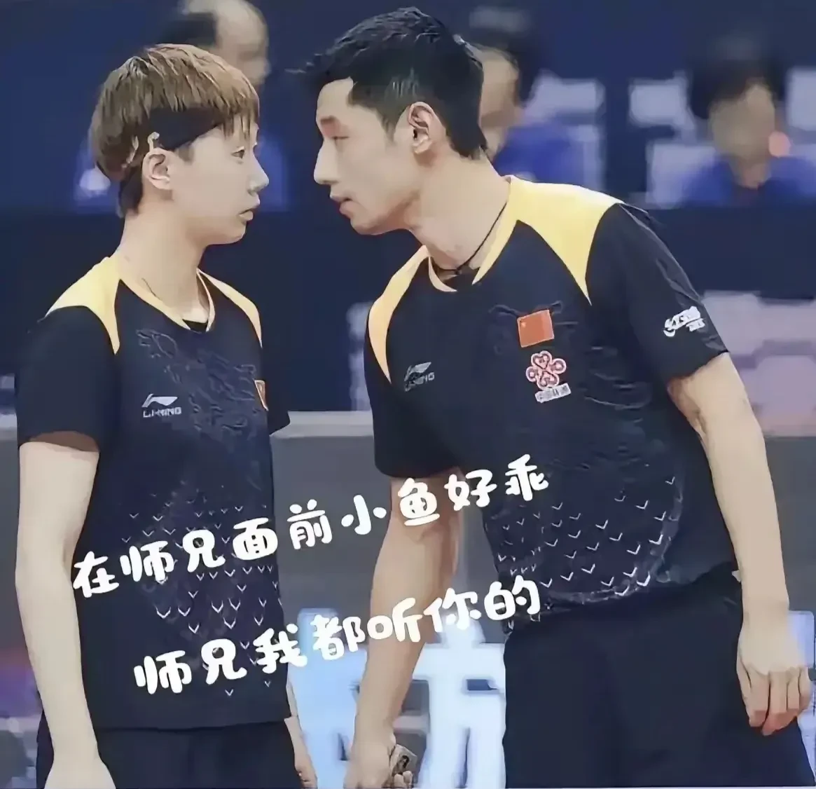 开云体育官网-比利时乒乓球队逆转德国乒乓球队，张继科送出助攻的简单介绍