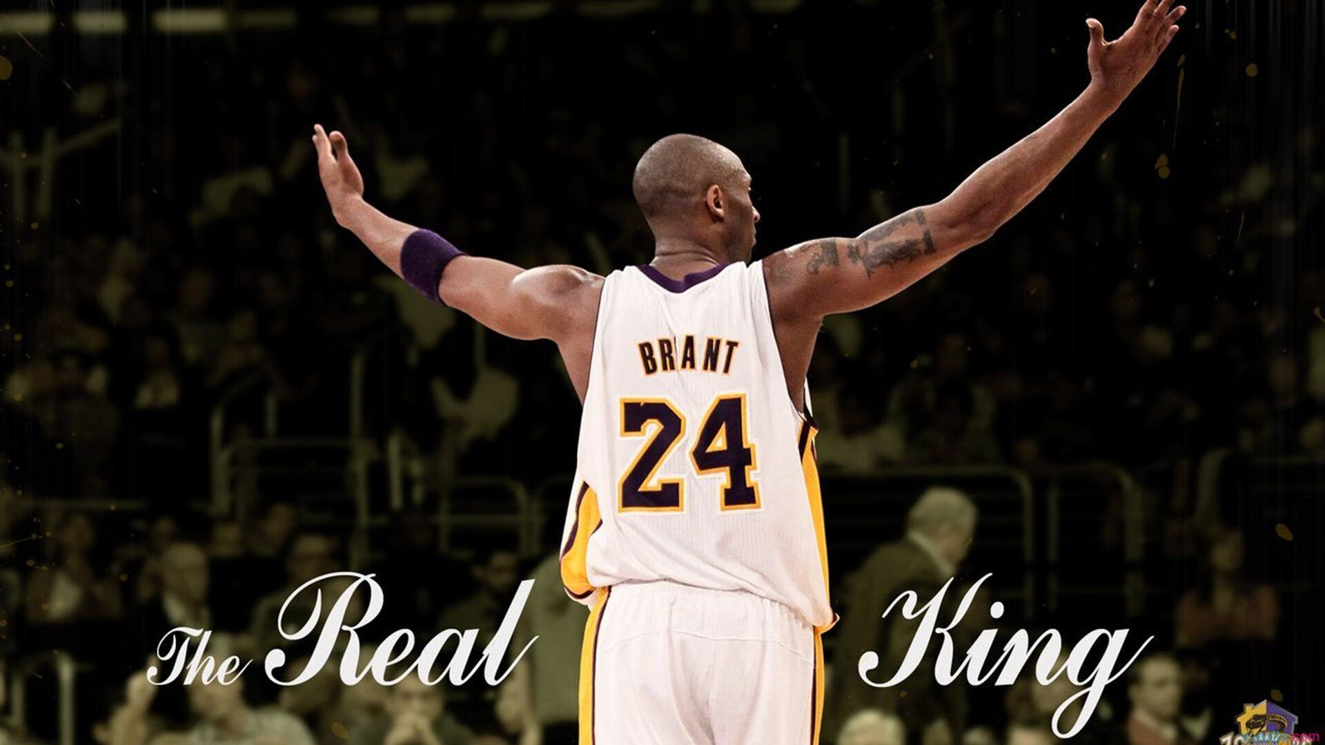 黑云压城，白刃破晓，武切维奇爆发背后的广厦战术密码